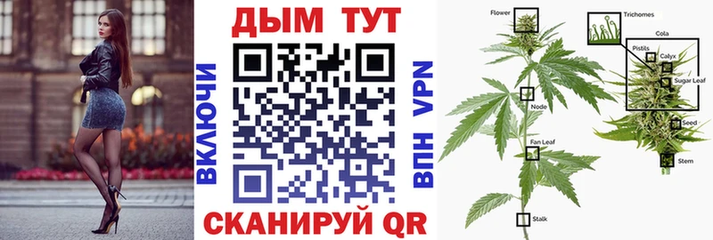 МАРИХУАНА AK-47  мега вход  Вологда 